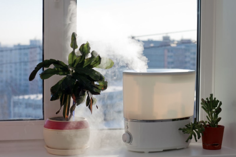 Why Is Indoor Air Quality (IAQ) Important?